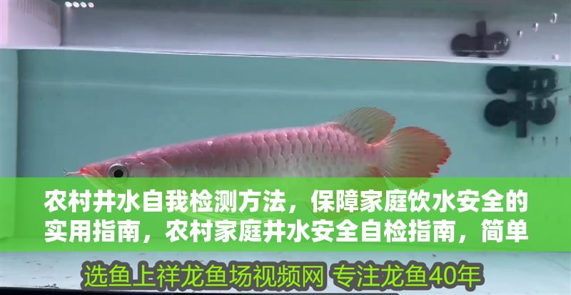 農(nóng)村井水自我檢測方法，保障家庭飲水安全的實用指南，農(nóng)村家庭井水安全自檢指南，簡單實用的飲水保障方法