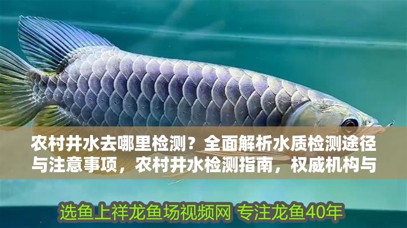 農村井水去哪里檢測？全面解析水質檢測途徑與注意事項，農村井水檢測指南，權威機構與注意事項全解析