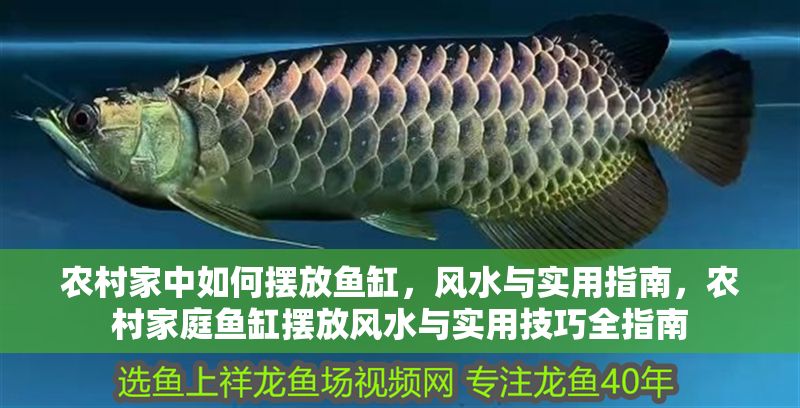 農村家中如何擺放魚缸，風水與實用指南，農村家庭魚缸擺放風水與實用技巧全指南 農村家中如何擺放魚缸，風水與實用指南，農村家庭魚缸擺放風水與實用技巧全指南 龍魚百科 第1張