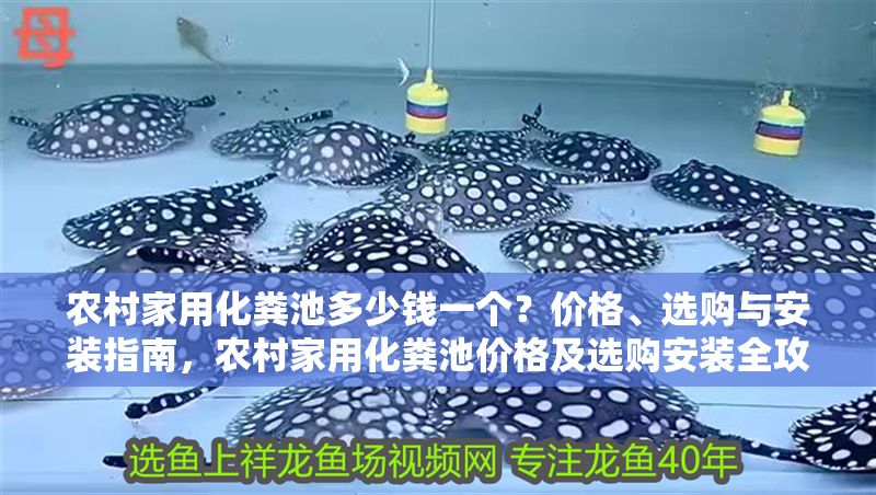 農村家用化糞池多少錢一個？價格、選購與安裝指南，農村家用化糞池價格及選購安裝全攻略