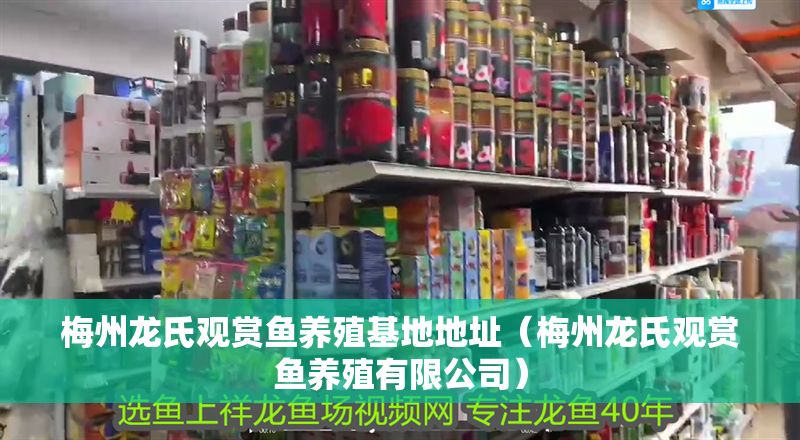 梅州龍氏觀賞魚養(yǎng)殖基地地址（梅州龍氏觀賞魚養(yǎng)殖有限公司）