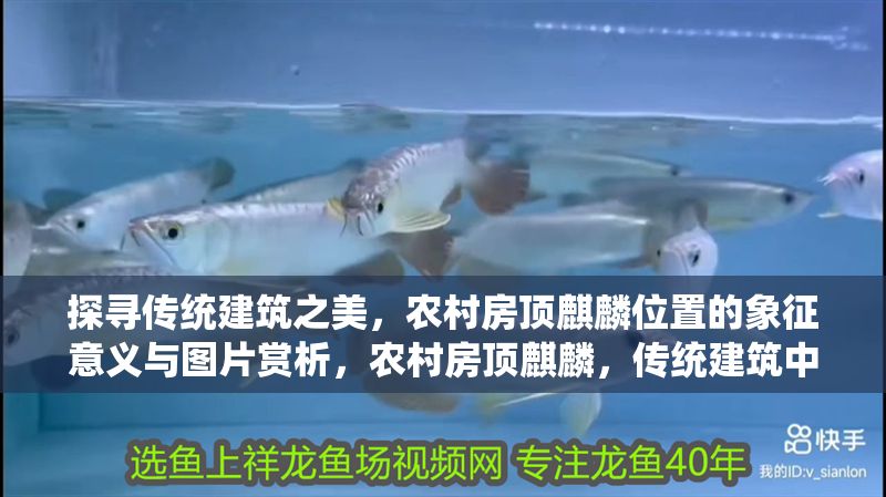 探尋傳統建筑之美，農村房頂<strong><mark>麒麟</mark></strong>位置的象征意義與圖片賞析，農村房頂<strong><mark>麒麟</mark></strong>，傳統建筑中的祥瑞象征與視覺魅力