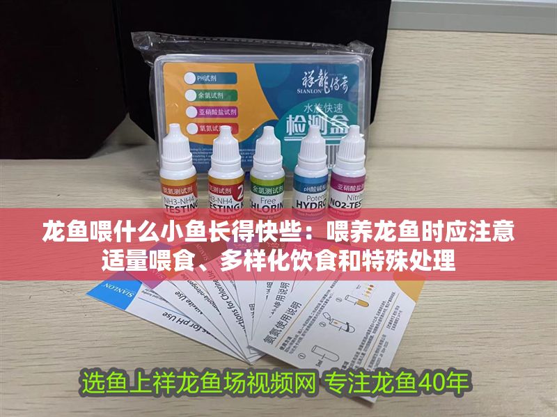 龍魚喂什么小魚長得快些：喂養龍魚時應注意適量喂食、多樣化飲食和特殊處理