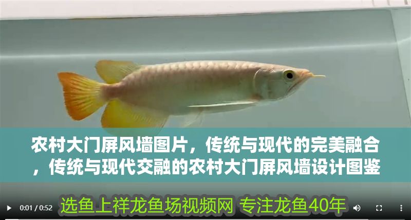 農村大門屏風墻圖片，傳統與現代的完美融合，傳統與現代交融的農村大門屏風墻設計圖鑒