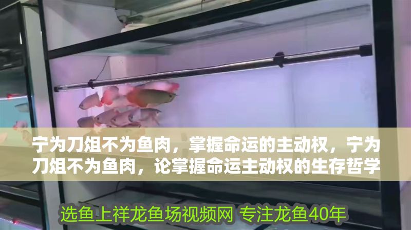 寧為刀俎不為魚肉,掌握命運的主動權,寧為刀俎不為魚肉,論掌握命運主動權的生存哲學 龍魚百科 第1張 寧為刀俎不為魚肉,掌握命運的主動權,寧為刀俎不為魚肉,論掌握命運主動權的生存哲學 寧為刀俎不為魚肉,掌握命運的主動權,寧為刀俎不為魚肉,論掌握命運主動權的生存哲學 龍魚百科 第1張