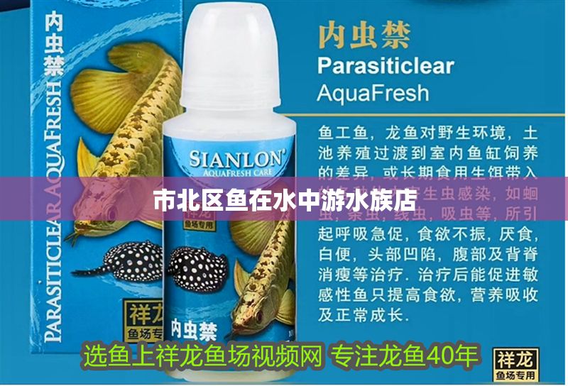 市北區(qū)魚在水中游水族店 全國(guó)水族館企業(yè)名錄 第2張 市北區(qū)魚在水中游水族店 市北區(qū)魚在水中游水族店 全國(guó)水族館企業(yè)名錄 第2張