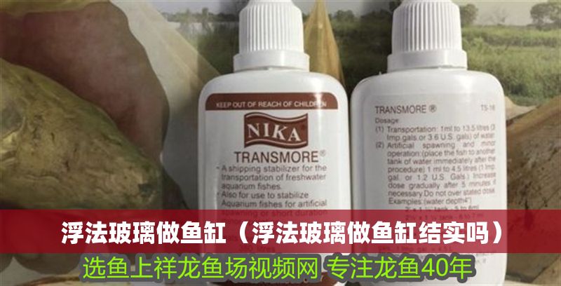 浮法玻璃做魚缸（浮法玻璃做魚缸結實嗎）