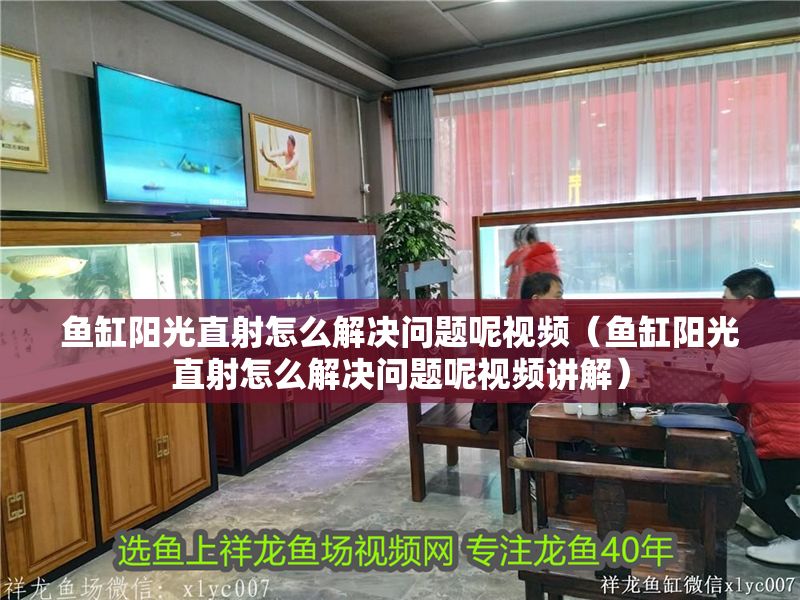 魚缸陽光直射怎么解決問題呢視頻（魚缸陽光直射怎么解決問題呢視頻講解） 魚缸陽光直射怎么解決問題呢視頻（魚缸陽光直射怎么解決問題呢視頻講解） 龍魚百科 第1張