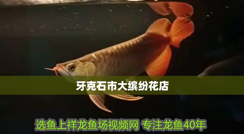 牙克石市大繽紛花店 全國水族館企業名錄 第2張 牙克石市大繽紛花店 牙克石市大繽紛花店 全國水族館企業名錄 第2張