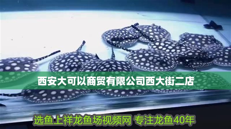 西安大可以商貿(mào)有限公司西大街二店