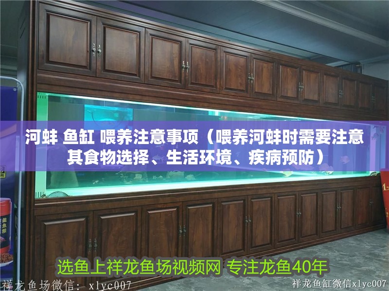 河蚌 魚缸 喂養(yǎng)注意事項(xiàng)（喂養(yǎng)河蚌時(shí)需要注意其食物選擇、生活環(huán)境、疾病預(yù)防） 河蚌 魚缸 喂養(yǎng)注意事項(xiàng)（喂養(yǎng)河蚌時(shí)需要注意其食物選擇、生活環(huán)境、疾病預(yù)防） 魚缸百科