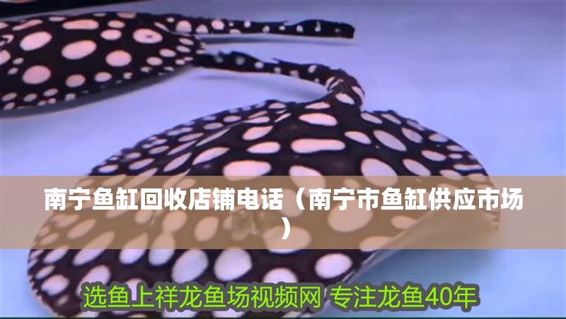 南寧魚缸回收店鋪電話（南寧市魚缸供應市場）