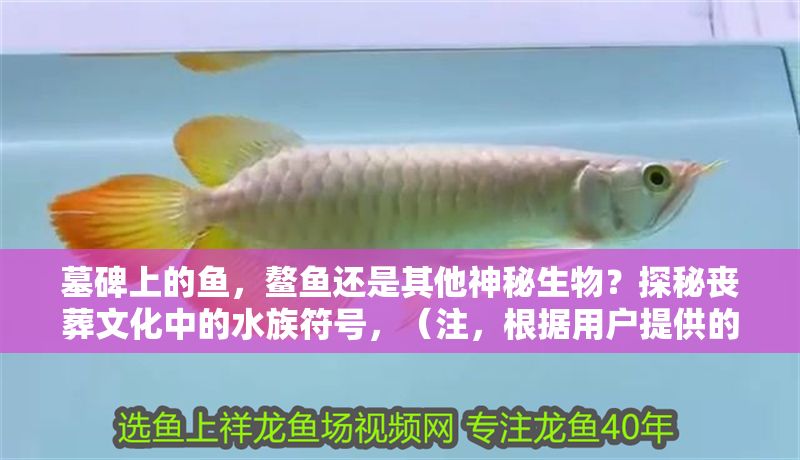 墓碑上的魚，鰲魚還是其他神秘生物？探秘喪葬文化中的水族符號，（注，根據用戶提供的原標題進行了優化調整，確保符合中文標題的簡潔性、懸念感和文化探秘主題。若需完全不同的標題方向，可補充說明。） 墓碑上的魚，鰲魚還是其他神秘生物？探秘喪葬文化中的水族符號，（注，根據用戶提供的原標題進行了優化調整，確保符合中文標題的簡潔性、懸念感和文化探秘主題。若需完全不同的標題方向，可補充說明。） 龍魚百科 第1張