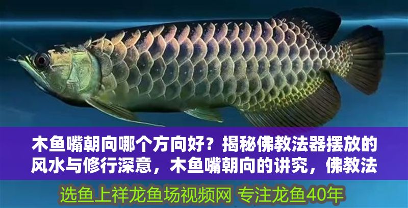 木魚嘴朝向哪個方向好？揭秘佛教法器擺放的風水與修行深意，木魚嘴朝向的講究，佛教法器擺放風水與修行意義解析