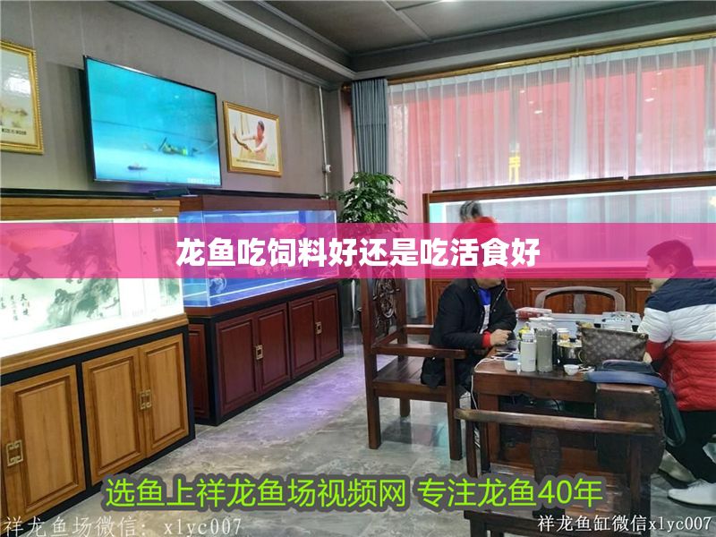 龍魚吃飼料好還是吃活食好