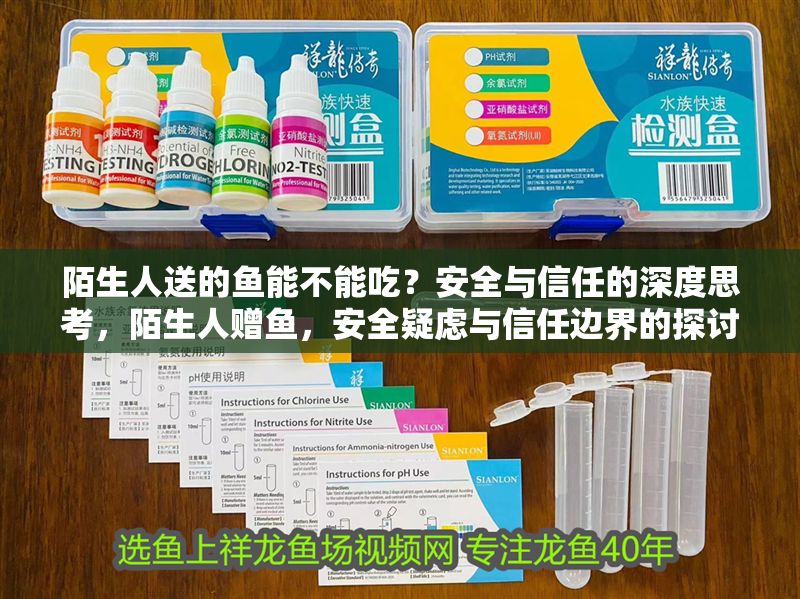 陌生人送的魚能不能吃？安全與信任的深度思考，陌生人贈魚，安全疑慮與信任邊界的探討