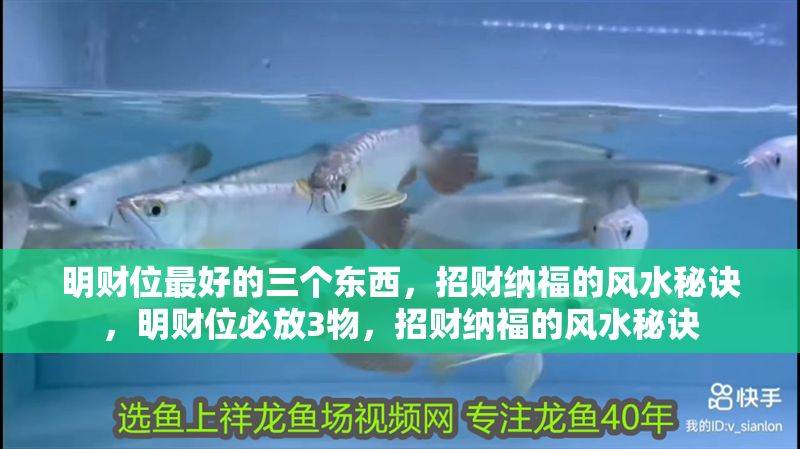 明財位最好的三個東西，招財納福的風水秘訣，明財位必放3物，招財納福的風水秘訣