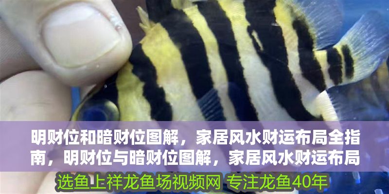 明財(cái)位和暗財(cái)位圖解，家居風(fēng)水財(cái)運(yùn)布局全指南，明財(cái)位與暗財(cái)位圖解，家居風(fēng)水財(cái)運(yùn)布局完整指南