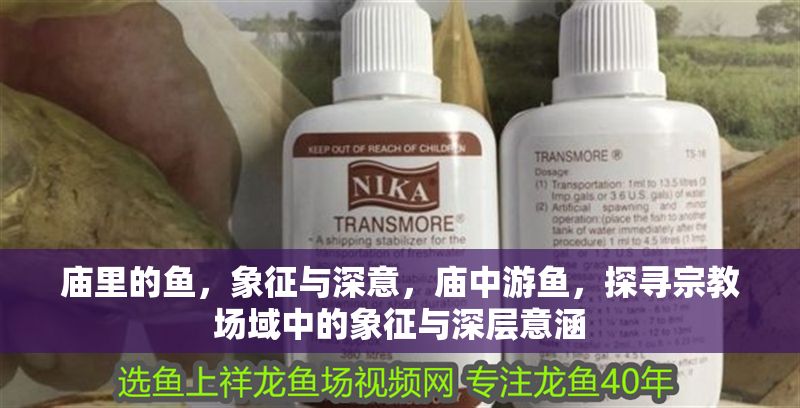 廟里的魚，象征與深意，廟中游魚，探尋宗教場(chǎng)域中的象征與深層意涵