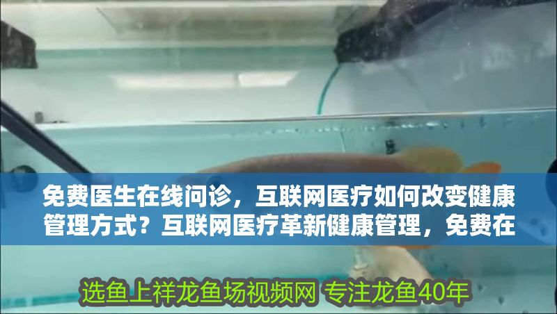 免費醫生在線問診，互聯網醫療如何改變健康管理方式？互聯網醫療革新健康管理，免費在線問診如何重塑就醫體驗？