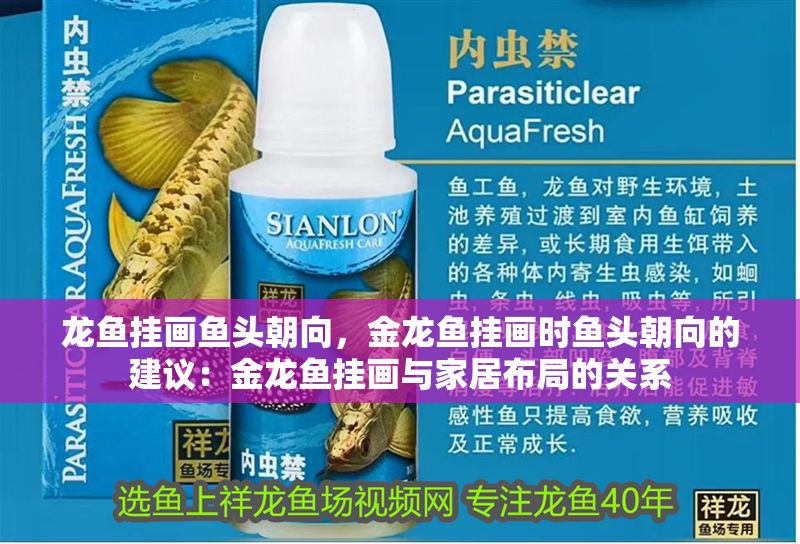 龍魚掛畫魚頭朝向，金龍魚掛畫時(shí)魚頭朝向的建議：金龍魚掛畫與家居布局的關(guān)系