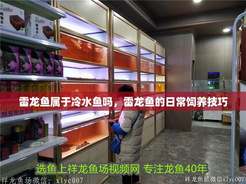 雷龍魚屬于冷水魚嗎，雷龍魚的日常飼養技巧