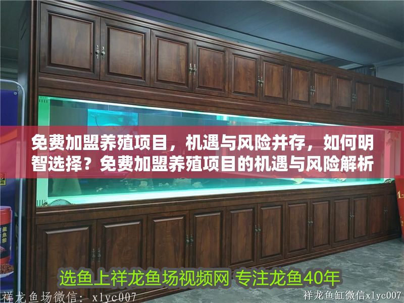 免費(fèi)加盟養(yǎng)殖項(xiàng)目,機(jī)遇與風(fēng)險(xiǎn)并存,如何明智選擇?免費(fèi)加盟養(yǎng)殖項(xiàng)目的機(jī)遇與風(fēng)險(xiǎn)解析,如何做出明智選擇? 龍魚(yú)百科 第1張 免費(fèi)加盟養(yǎng)殖項(xiàng)目,機(jī)遇與風(fēng)險(xiǎn)并存,如何明智選擇?免費(fèi)加盟養(yǎng)殖項(xiàng)目的機(jī)遇與風(fēng)險(xiǎn)解析,如何做出明智選擇? 免費(fèi)加盟養(yǎng)殖項(xiàng)目,機(jī)遇與風(fēng)險(xiǎn)并存,如何明智選擇?免費(fèi)加盟養(yǎng)殖項(xiàng)目的機(jī)遇與風(fēng)險(xiǎn)解析,如何做出明智選擇? 龍魚(yú)百科 第1張