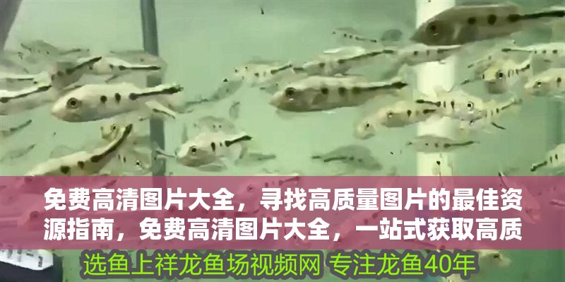 免費高清圖片大全，尋找高質量圖片的最佳資源指南，免費高清圖片大全，一站式獲取高質量圖片的終極資源指南