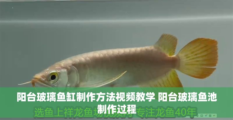 陽(yáng)臺(tái)玻璃魚(yú)缸制作方法視頻教學(xué) 陽(yáng)臺(tái)玻璃魚(yú)池制作過(guò)程