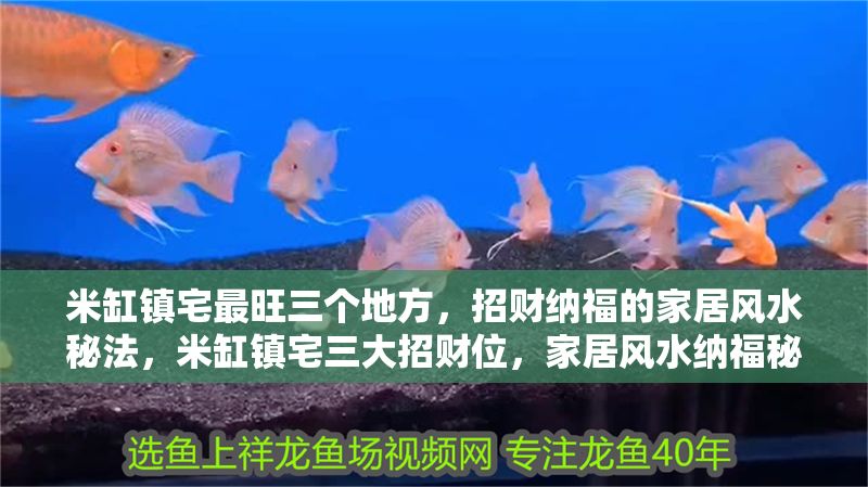 米缸鎮宅最旺三個地方，招財納福的家居風水秘法，米缸鎮宅三大招財位，家居風水納福秘法全解析