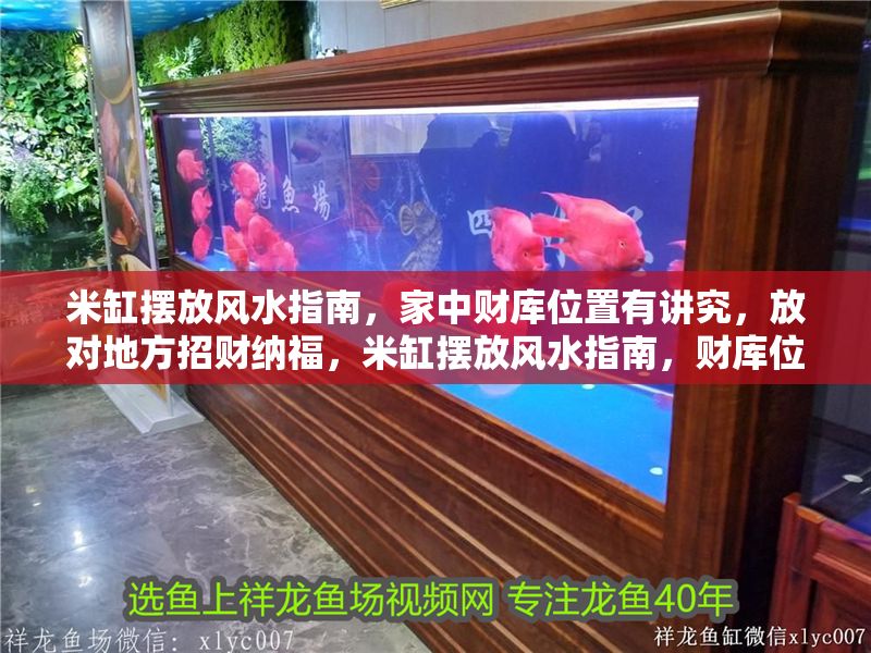 米缸擺放風水指南，家中財庫位置有講究，放對地方招財納福，米缸擺放風水指南，財庫位置決定財運，正確擺放招財納福