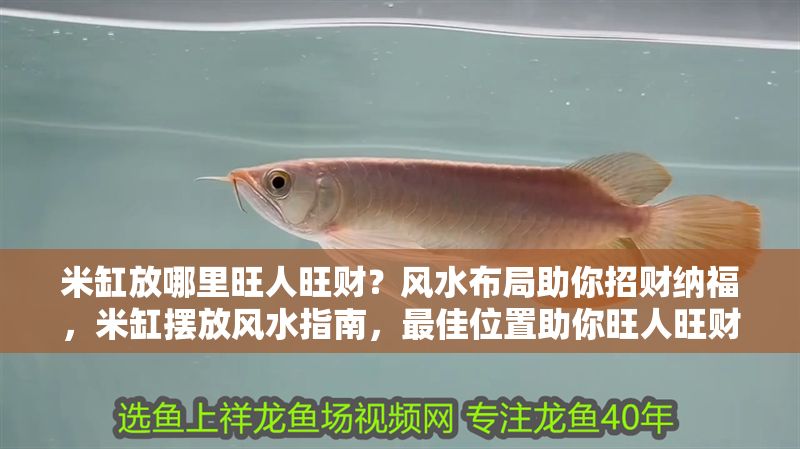 米缸放哪里旺人旺財？風水布局助你招財納福，米缸擺放風水指南，最佳位置助你旺人旺財