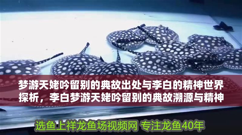 夢游天姥吟留別的典故出處與李白的精神世界探析，李白夢游天姥吟留別的典故溯源與精神境界解讀 夢游天姥吟留別的典故出處與李白的精神世界探析，李白夢游天姥吟留別的典故溯源與精神境界解讀 龍魚百科 第1張