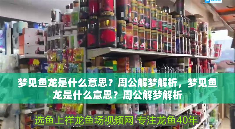 夢(mèng)見魚龍是什么意思？周公解夢(mèng)解析，夢(mèng)見魚龍是什么意思？周公解夢(mèng)解析