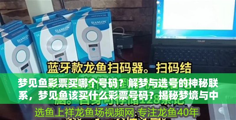 夢見魚彩票買哪個號碼？解夢與選號的神秘聯系，夢見魚該買什么彩票號碼？揭秘夢境與中獎數字的神秘關聯