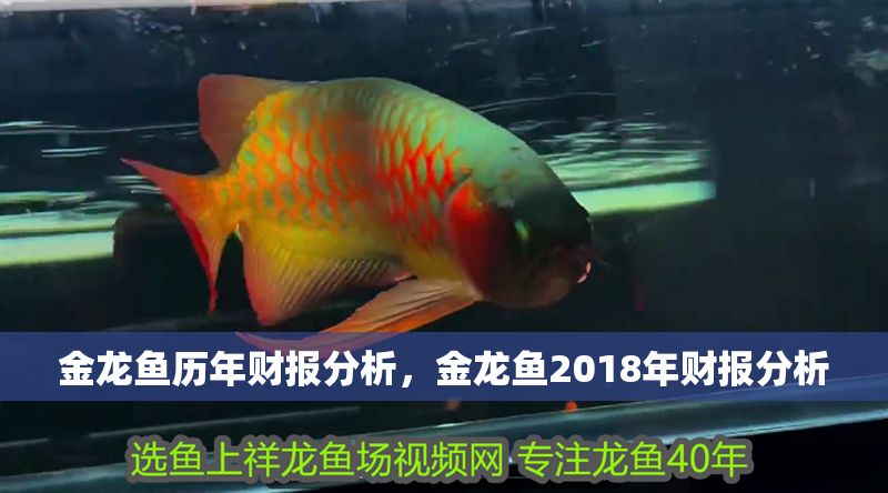 金龍魚歷年財報分析，金龍魚2018年財報分析