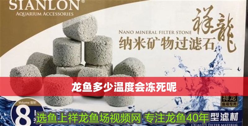 龍魚多少溫度會凍死呢