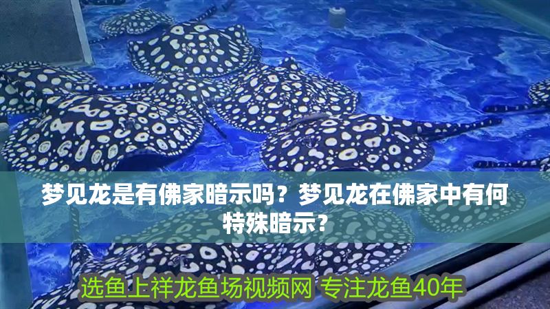 夢見龍是有佛家暗示嗎？夢見龍在佛家中有何特殊暗示？