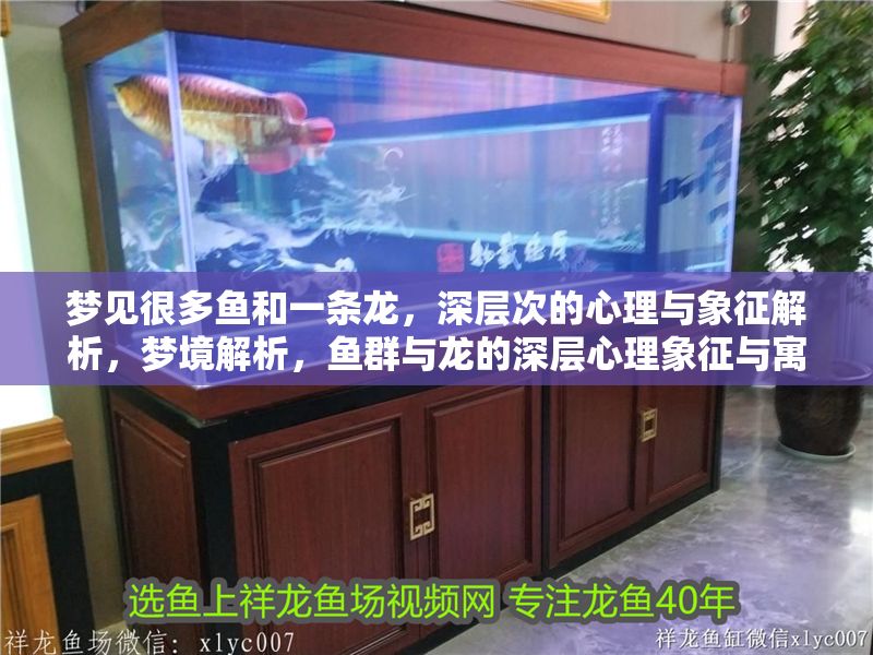 夢(mèng)見很多魚和一條龍，深層次的心理與象征解析，夢(mèng)境解析，魚群與龍的深層心理象征與寓意