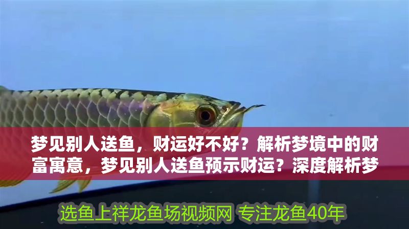 夢(mèng)見(jiàn)別人送魚，財(cái)運(yùn)好不好？解析夢(mèng)境中的財(cái)富寓意，夢(mèng)見(jiàn)別人送魚預(yù)示財(cái)運(yùn)？深度解析夢(mèng)境中的財(cái)富象征