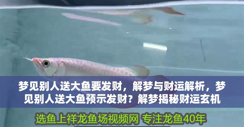 夢見別人送大魚要發財，解夢與財運解析，夢見別人送大魚預示發財？解夢揭秘財運玄機