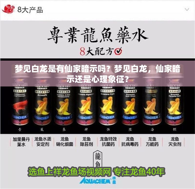 夢見白龍是有仙家暗示嗎？夢見白龍，仙家暗示還是心理象征？