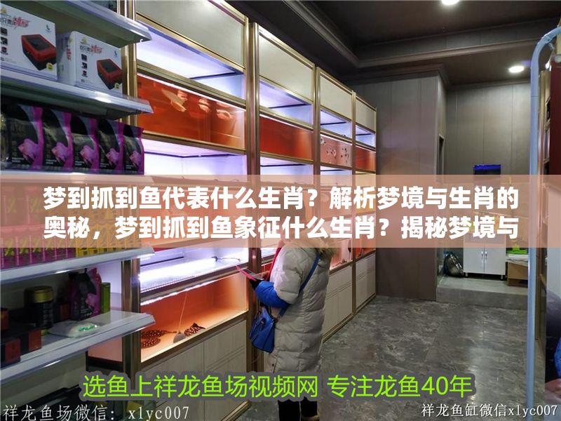 夢(mèng)到抓到魚代表什么生肖？解析夢(mèng)境與生肖的奧秘，夢(mèng)到抓到魚象征什么生肖？揭秘夢(mèng)境與生肖的關(guān)聯(lián)