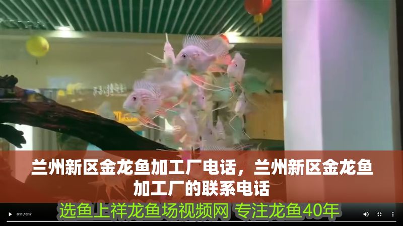 蘭州新區金龍魚加工廠電話，蘭州新區金龍魚加工廠的聯系電話