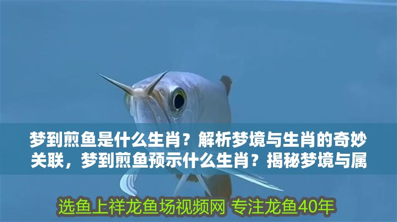 夢(mèng)到煎魚是什么生肖？解析夢(mèng)境與生肖的奇妙關(guān)聯(lián)，夢(mèng)到煎魚預(yù)示什么生肖？揭秘夢(mèng)境與屬相的玄妙聯(lián)系