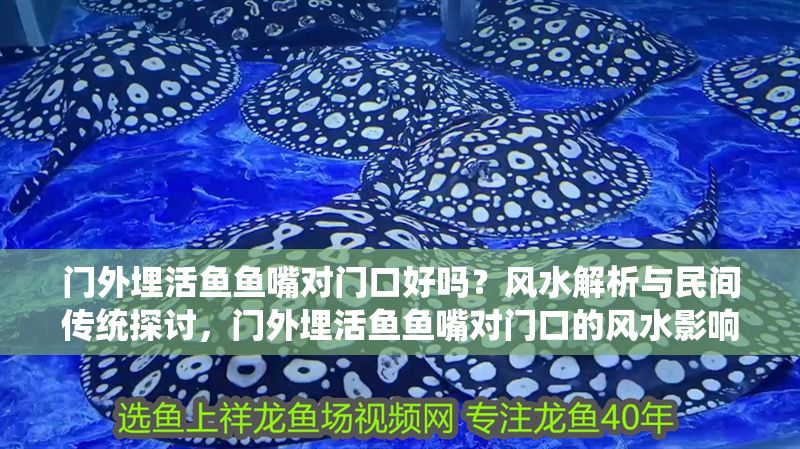 門外埋活魚魚嘴對門口好嗎?風水解析與民間傳統探討,門外埋活魚魚嘴對門口的風水影響與民間習俗解析 龍魚百科 第1張 門外埋活魚魚嘴對門口好嗎?風水解析與民間傳統探討,門外埋活魚魚嘴對門口的風水影響與民間習俗解析 門外埋活魚魚嘴對門口好嗎?風水解析與民間傳統探討,門外埋活魚魚嘴對門口的風水影響與民間習俗解析 龍魚百科 第1張