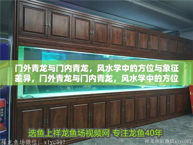 門外青龍與門內青龍，風水學中的方位與象征差異，門外青龍與門內青龍，風水學中的方位象征差異解析 門外青龍與門內青龍，風水學中的方位與象征差異，門外青龍與門內青龍，風水學中的方位象征差異解析 龍魚百科 第1張