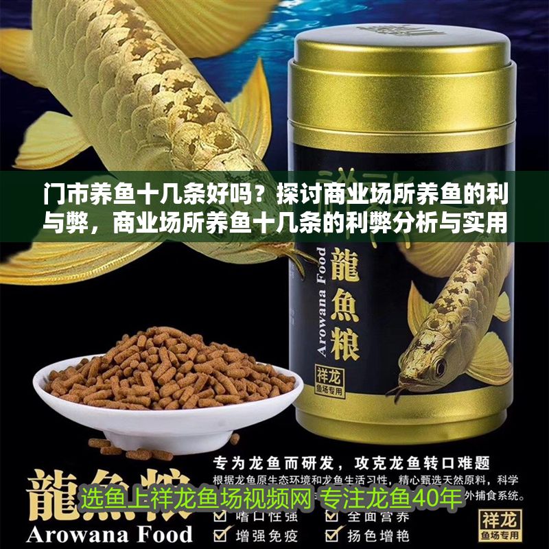 門市養魚十幾條好嗎？探討商業場所養魚的利與弊，商業場所養魚十幾條的利弊分析與實用建議