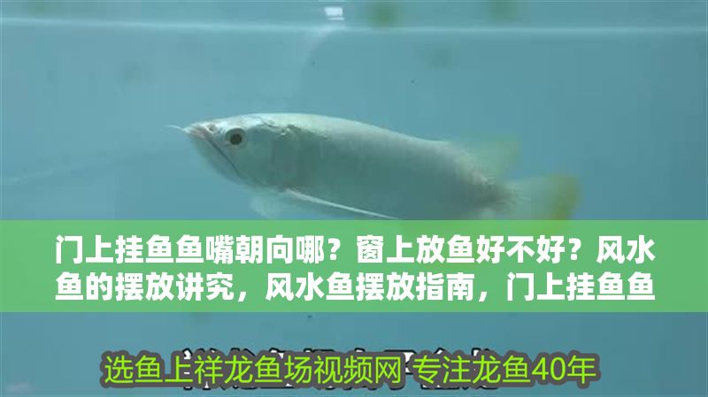 門上掛魚魚嘴朝向哪？窗上放魚好不好？風(fēng)水魚的擺放講究，風(fēng)水魚擺放指南，門上掛魚魚嘴朝向與窗上放魚的講究