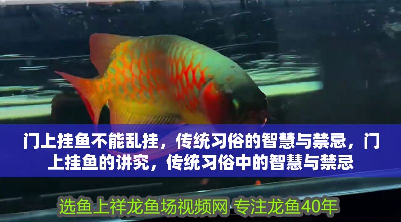 門上掛魚不能亂掛，傳統習俗的智慧與禁忌，門上掛魚的講究，傳統習俗中的智慧與禁忌